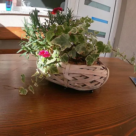 Apartamento Tiktok