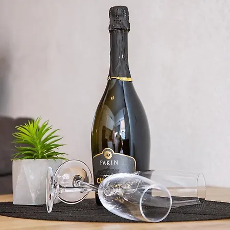 아파트 Tiktok 자다르